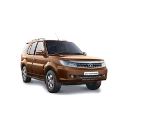 Safari Storme Safari Storme
