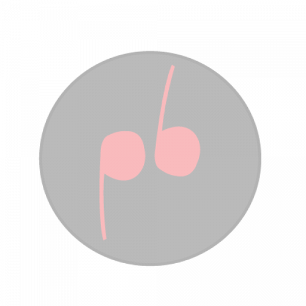 tata ace zip clutch plate price