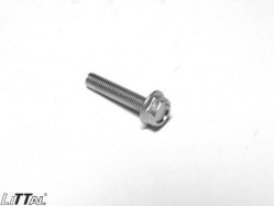 Littal 14-115  Bolt 6X30 (100 Pcs) 