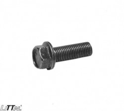 Littal 14-123  Bolt 10X30  (10 Pcs.) 