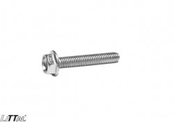 Littal 14-136  Bolt 6X35 (100 Pcs) 