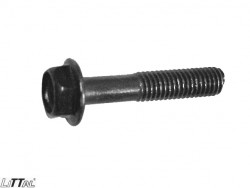 Littal 14-142  Bolt 8X40 (100 Pcs) 