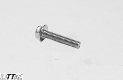 Littal 14-14  Bolt 8X30 (100 Pcs) 