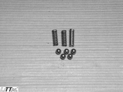 Littal 09-53  Gear Box Ball & Spring Kit Zen 