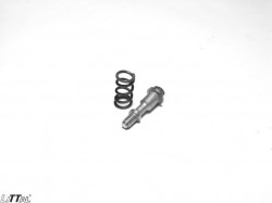 Littal 14-60  Silencer Bolt Maruti 800  Copper Polish With Spring 