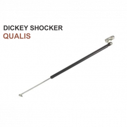 Car International Dicky Shocker Qualis (Set Of 2) (CI)