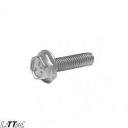 Littal 14-106  Bolt 8X35 (100 Pcs.) 