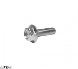 Littal 14-13  Bolt 8X25 (100 Pcs) 