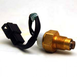 Thermostat Switch With Wire(1 Coupler) Big Thread Copper Indica (Minda)