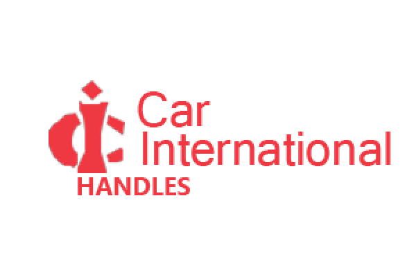 Car International Outer Door Handle Chevrolet Optra Front Left